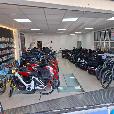 Daire Under The Palm