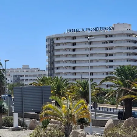 Apartament Under The Palm Playa de las Americas (Tenerife)