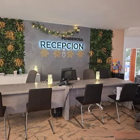 Under The Palm Appartement