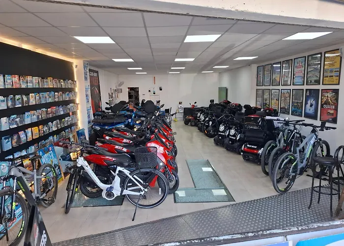 Daire Under The Palm