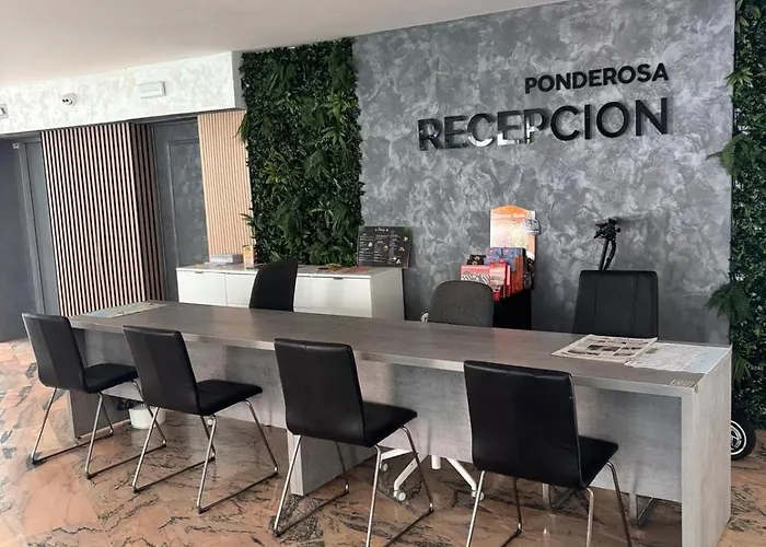 Under The Palm Daire *