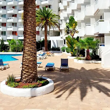 Under The Palm Apartment