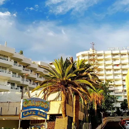 Under The Palm