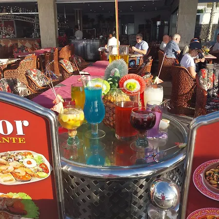 Under The Palm * Playa de las Américas