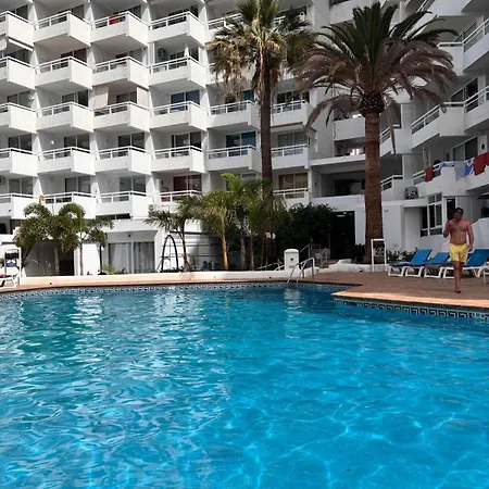 Under The Palm Apartment Playa de las Américas