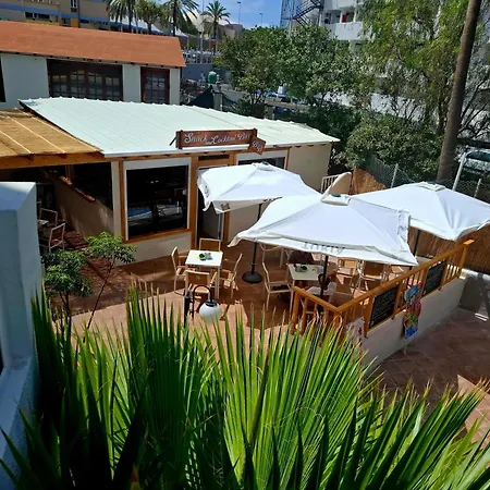 Апартаменты Under The Palm